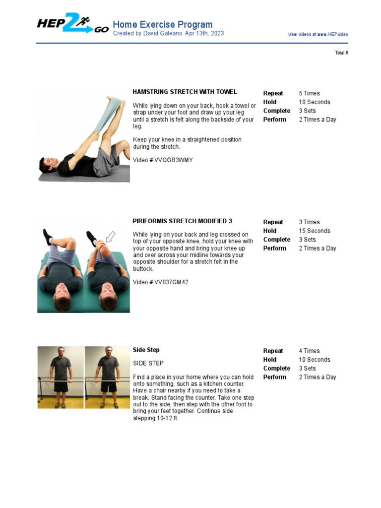 Home Exercise Program PDF Anatomical Terms Of Motion Limbs Anatomy