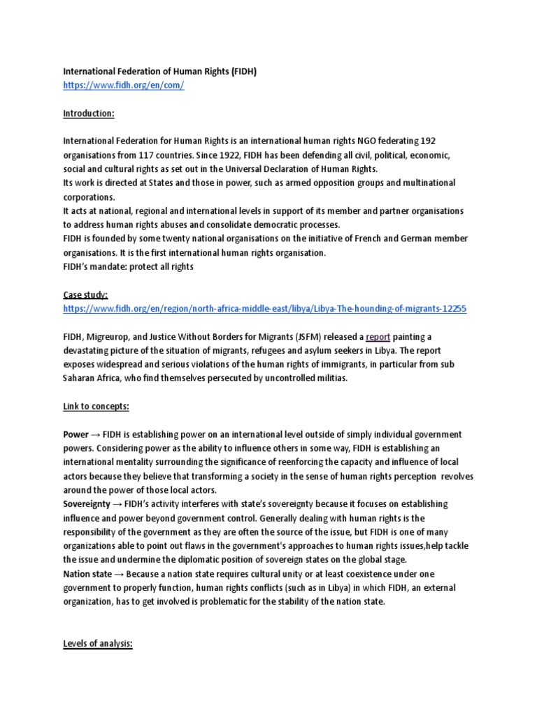 International Federation of Human Rights (FIDH) | PDF | Human Rights ...