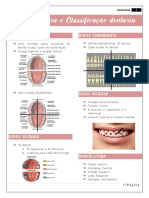 Nomenclatura e Classificação Dentaria