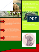 Flashcard of The Elephant