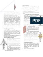 Anatomia Clase 1 (Recuperado Automáticamente)