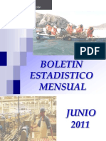 boletin-estadistico-junio-2011