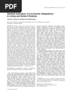 Download Adaptacion Skeletal Rodents by BeriTa GaRcia SN63955799 doc pdf