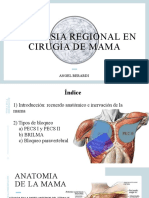 Anestesia Regional en Cirugía de Mama