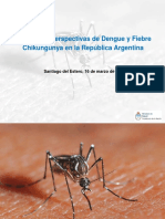 Situación y Perspectivas de Dengue y Fiebre Chikungunya en La República Argentina