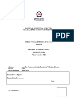 Informe Nº2 Biomoléculas