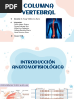 Análisis del Ángulo Lumbosacro y Ferguson | PDF | La columna vertebral ...