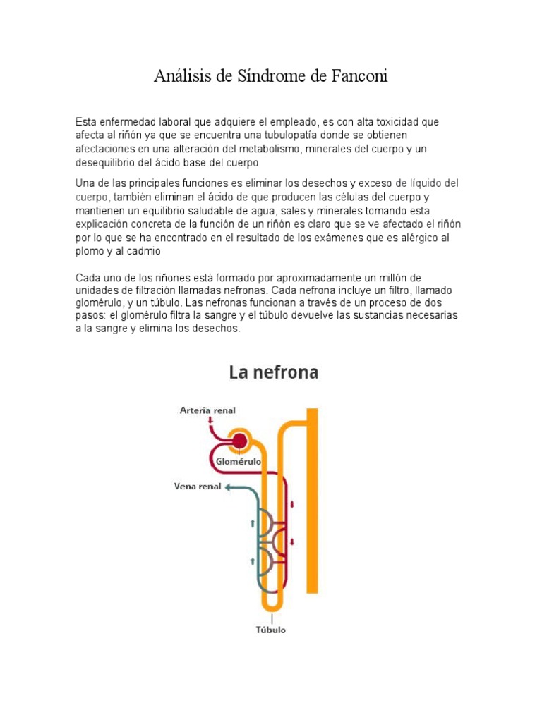 Análisis de Síndrome de Fanconi | PDF | Riñón | Sangre