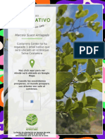 REFO OCJ3OHXKOKRT Reforestacion - Marcela Suazo Arriagada