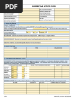 Corrective Action Plan Template 08