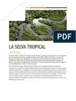 Propuesta de Proyecto "La Selva Tropical"