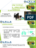 3.GRUPO PRACT-1ANESTESIA, ANALGESIA Y EUTANASIA