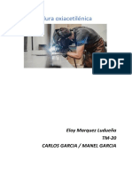 Soldadura Oxiacetilénica: Eloy Marquez Ludueña TM-20 Carlos Garcia / Manel Garcia