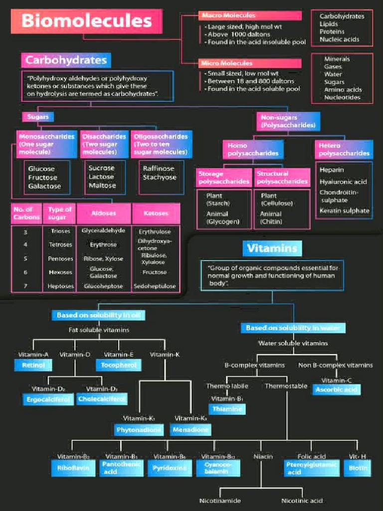 Biomolecules Pdf Carbohydrates Amino Acid