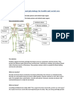 Anatomy and Physiology 3 Final