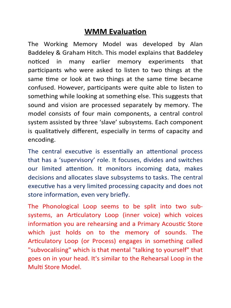 WMM Evaluation | PDF | Memory | Psychological Concepts