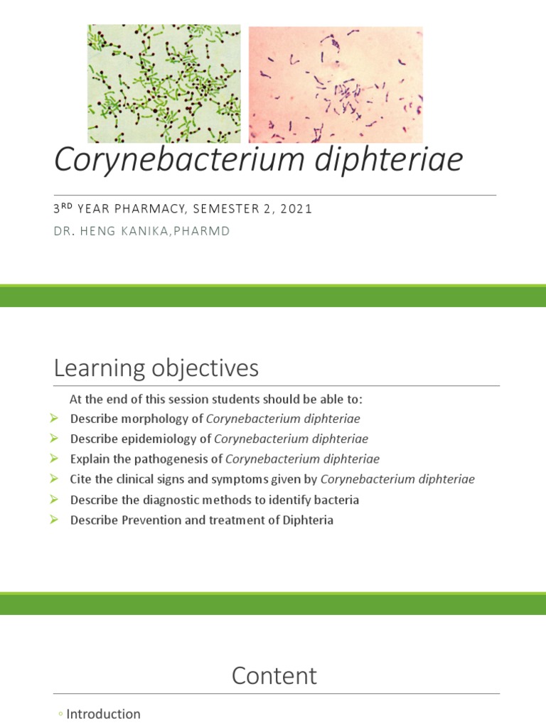Comprehensive Overview of Corynebacterium diphtheriae: Morphology ...