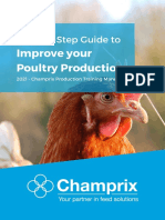 Champrix Whitepaper Step-By-Step Guide To Improve Your Poultry Production FINAL-min