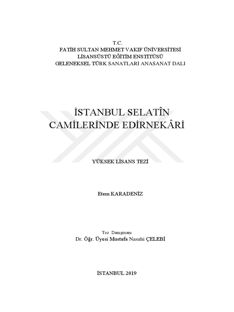 Istanbul Selatin Camilerinde Edirnekari | PDF