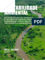 Contabilidade Ambiental