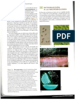 Capitulo 1 Brock Biología de Los Microrganismos