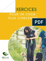 7 Exercices Chien Concentre