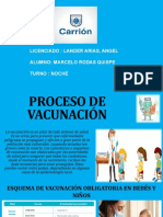 Proceso de Vacunación - Marcelo Rodas Quispe