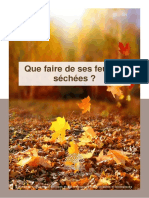  Feuilles Sechees