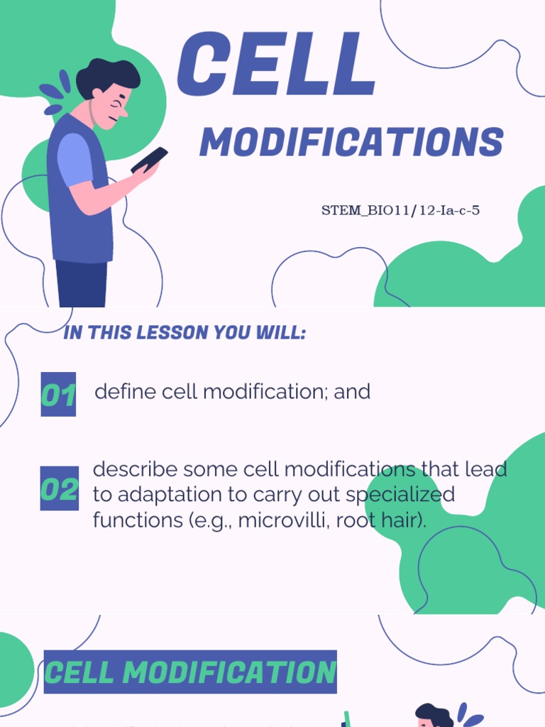 Types and Functions of Cell Modifications | PDF | Stem Cell | Cell ...