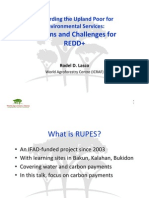 Rewarding The Upland Poor For Environmental Services - Lessons and Challenges For REDD