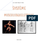 Document 17 - Système Musculosquelettique