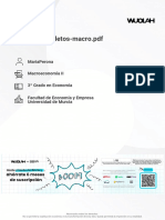 Temas Completos Macro PDF