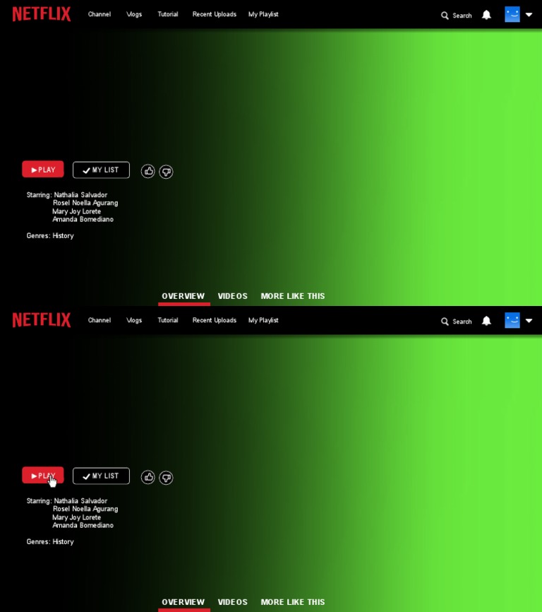 Netflix Presentation | PDF