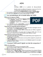 Fiche 2 - ADN