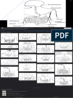 Images: How To Draw Human Digestive System Step by ... - Youtube