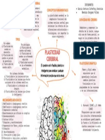 Plasticidad Cerebral-Organizador