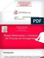 Asignatura Ciclo: Atencion Del Paciente Oncologico: X Semestre Academico: 2023 - I