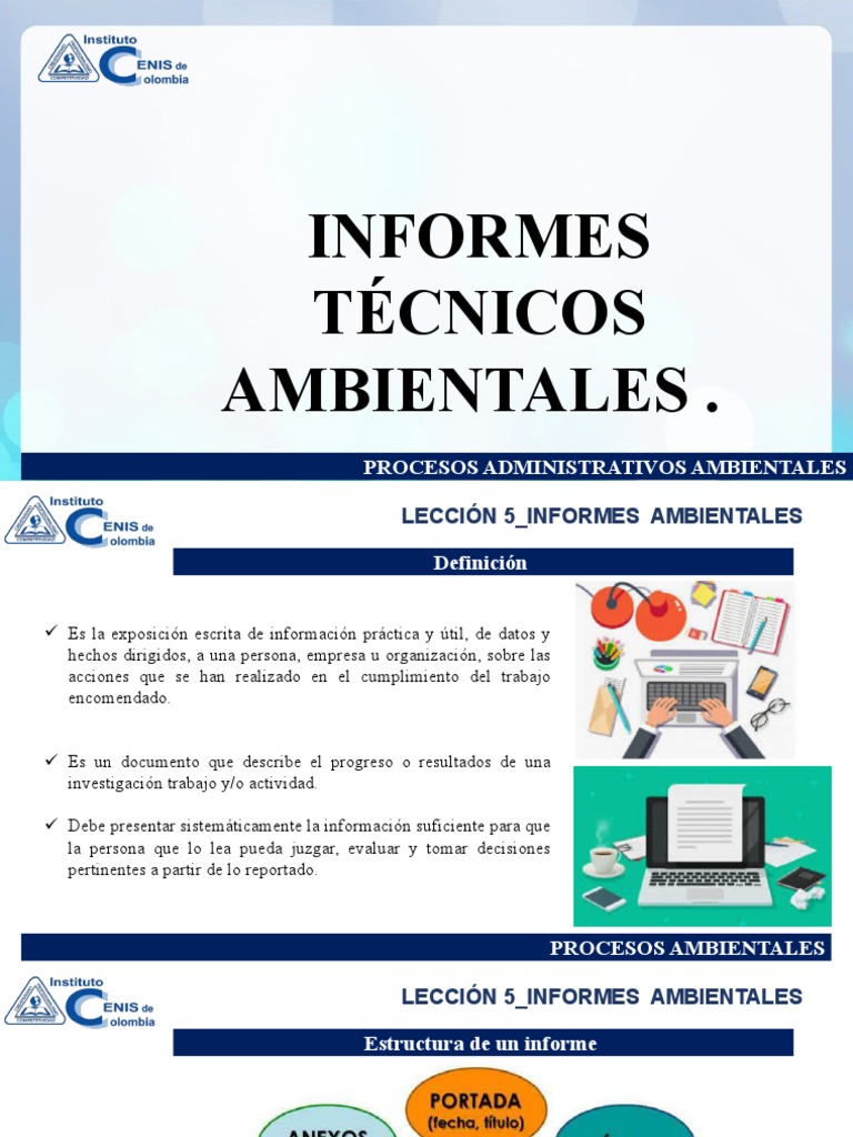 Estructura de Informes Ambientales | PDF