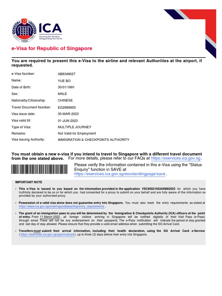 Multiple Journey Visa Singapore | PDF