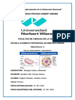 "Año Del Fortalecimiento de La Soberanía Nacional Universidad Privada Nobert Wiener