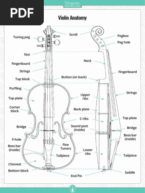 Violin Anatomy - Set of 3 Posters