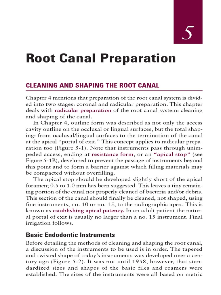 Root Canal Preparation | PDF | Technology & Engineering