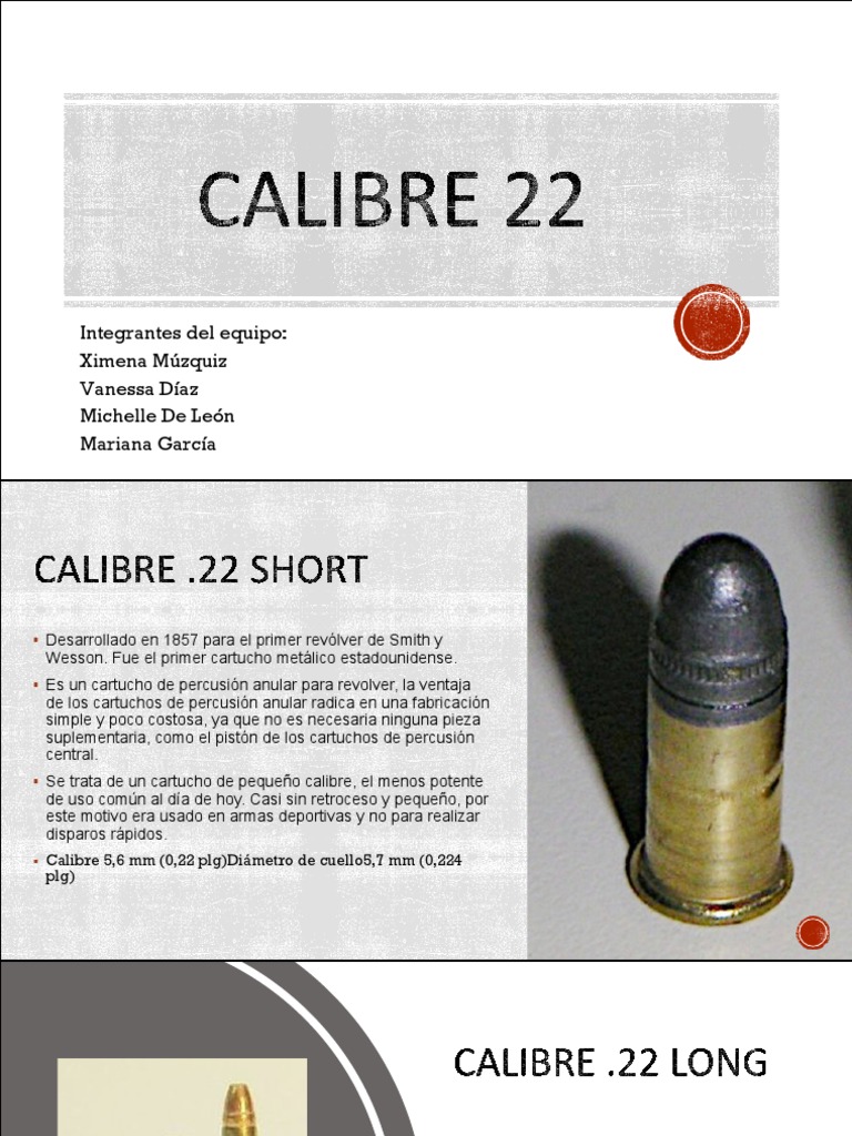 Calibre | PDF | Hogar, jardinería y bricolaje