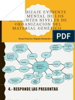 Aprendizaje Evidente Mapa Mental de Los Diferentes Niveles de Organización Del Material Genético