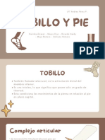 Expo Tobillo y Pie