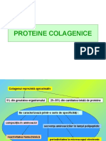 Proteine Colagenice