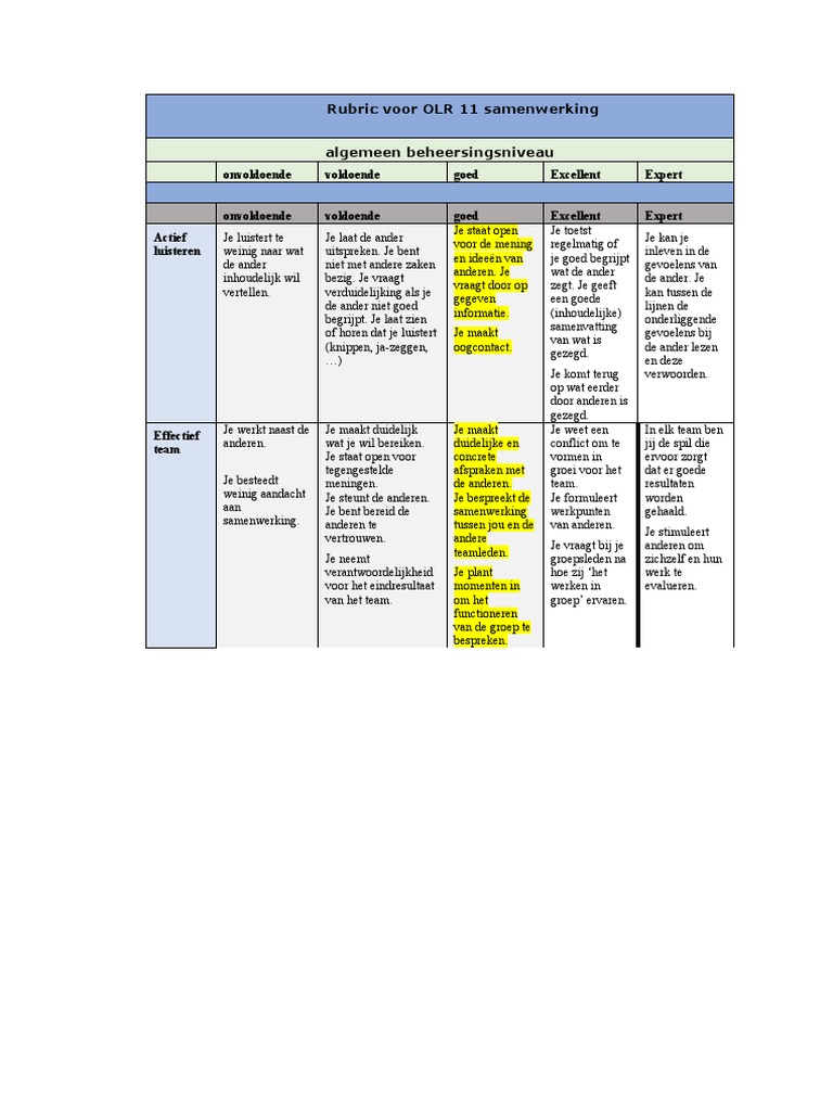 Rubric Voor Olr 11 Samenwerking | PDF