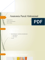 Anatomia Pared Abdominal Final