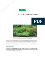 Proyec de Plantas Aromaticas 2023