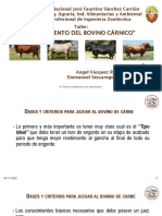 Juzgamiento Del Bovino Cárnico